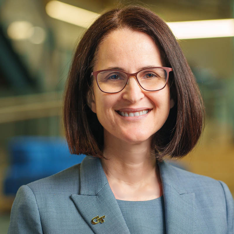 Beril Toktay, Brady Family Chair and Regents’ Professor