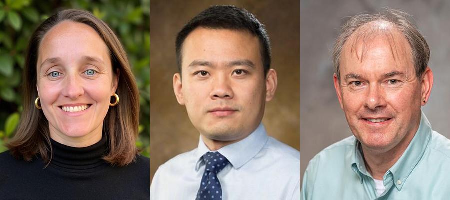 "Three side‑by‑side headshot portraits showing individuals from the shoulders up against different backgrounds. The left image shows a person wearing a black top with greenery behind them, the center image shows a person in a light blue shirt and patterned tie against a neutral brown backdrop, and the right image shows a person in a light green collared shirt against a gray studio background."